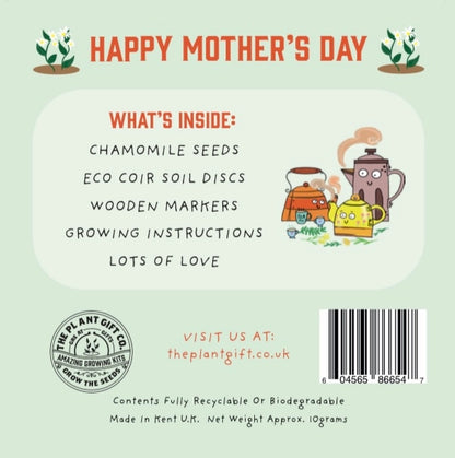 Happy Mother's Day. Chamomile Herbal Tea. Eco Mini Grow-Kit