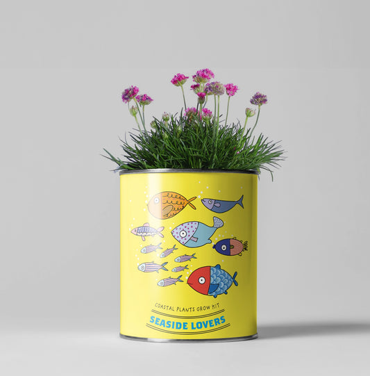 Seaside Lovers. Eco Grow Your Own Plant Kit, Gardening Gift