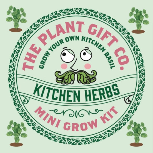 Kitchen Herb. Eco Mini Basil Grow Kit.