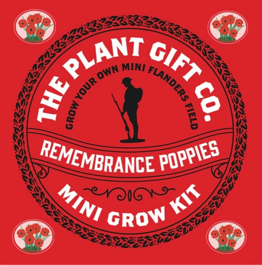 Remembrance Poppies Eco Mini Grow Kit