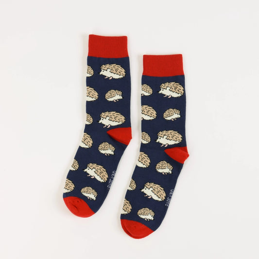 Hedgehog Socks | Bamboo Socks | Blue & Red Socks