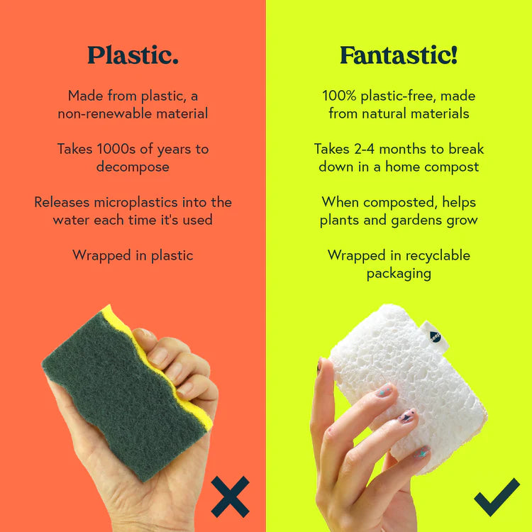 Seep Eco Sponge Scourer | Case of 12