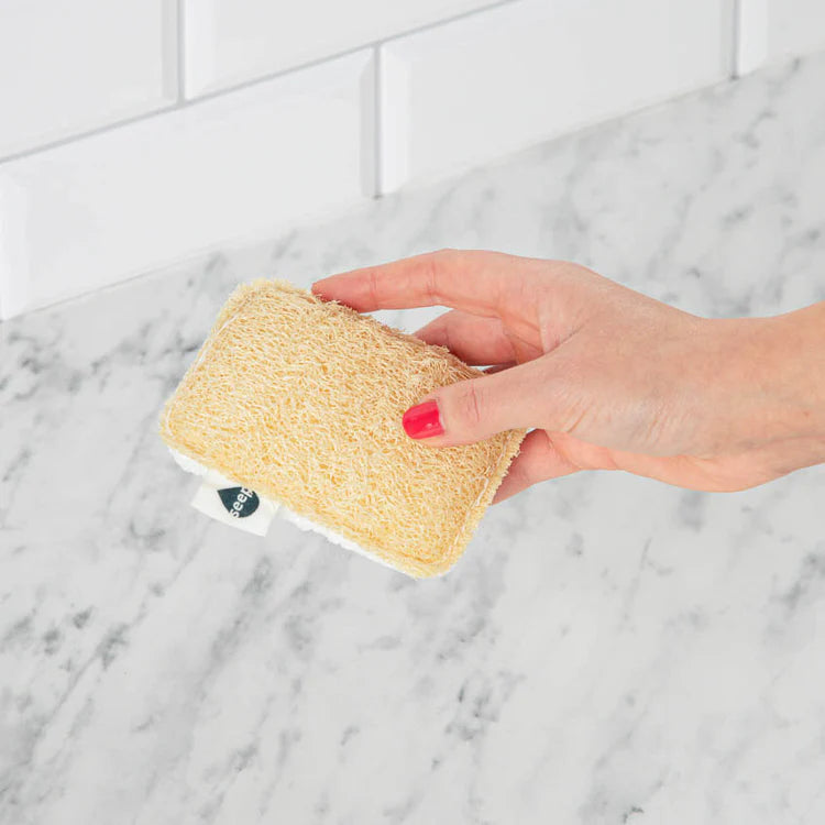 Seep Eco Sponge Scourer | Case of 12