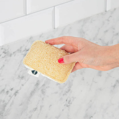 Seep Eco Sponge Scourer | Case of 12