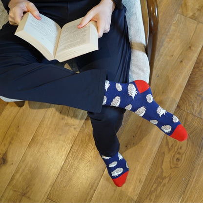 Hedgehog Bamboo Socks | British Wildlife Socks