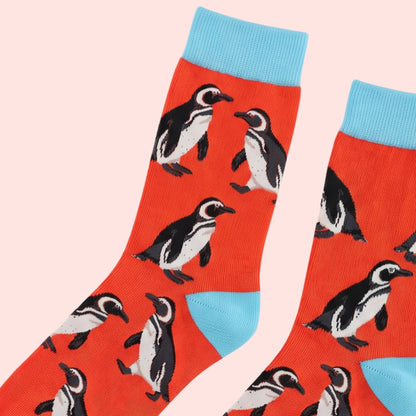 Humboldt Penguin Socks | Bamboo Socks | Orange Socks