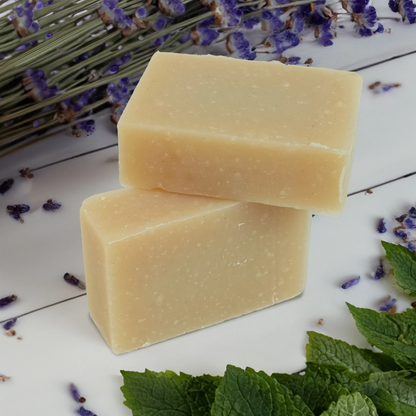 Travel Soap Bar - Eco Friendly