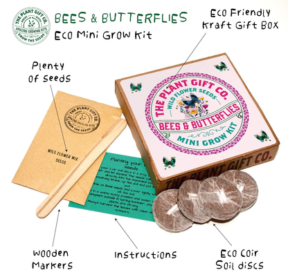 Wild Flower Mini Grow Kit