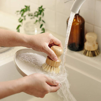 Bamboo Dish Brushes | Set of 2