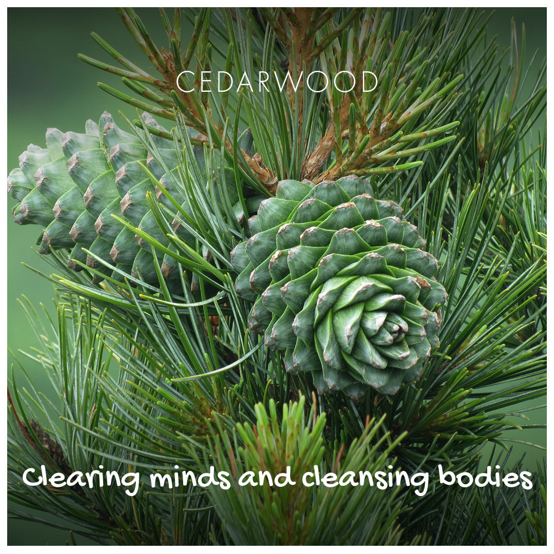 Cedarwood Eco Friendly Soap Bar