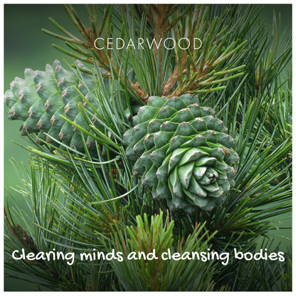 Cedarwood Eco Friendly Soap Bar