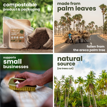 20 Recyclable Palm Leaf Plates