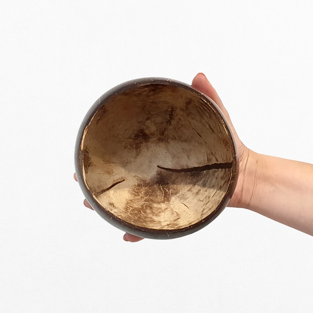Polished Coconut Bowl
