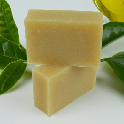 Tea Tree & Turmeric Eco Friendly Soap Bar