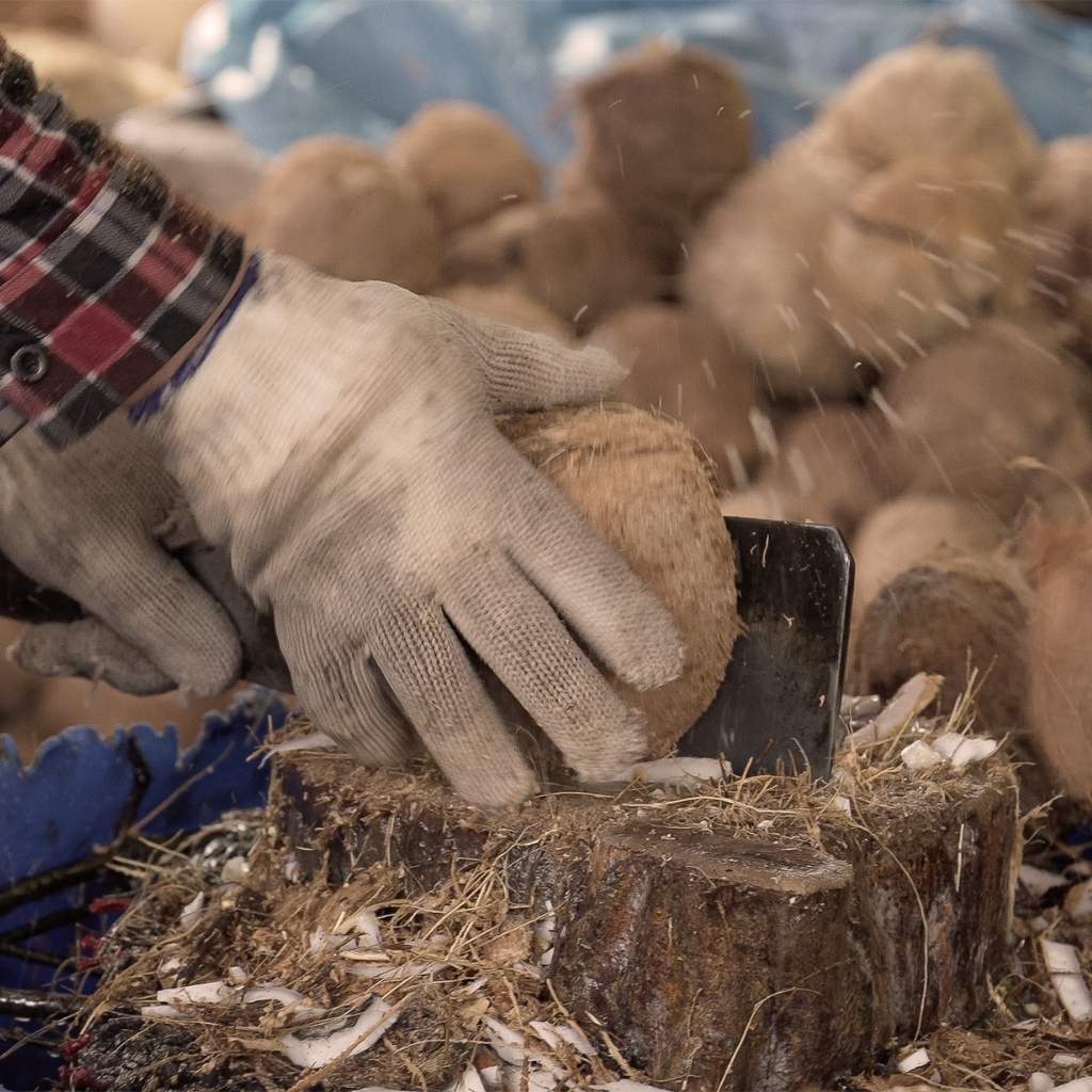 Coconut Bowls - Jumbo Bowl & Spoon Combo (Cosmos)