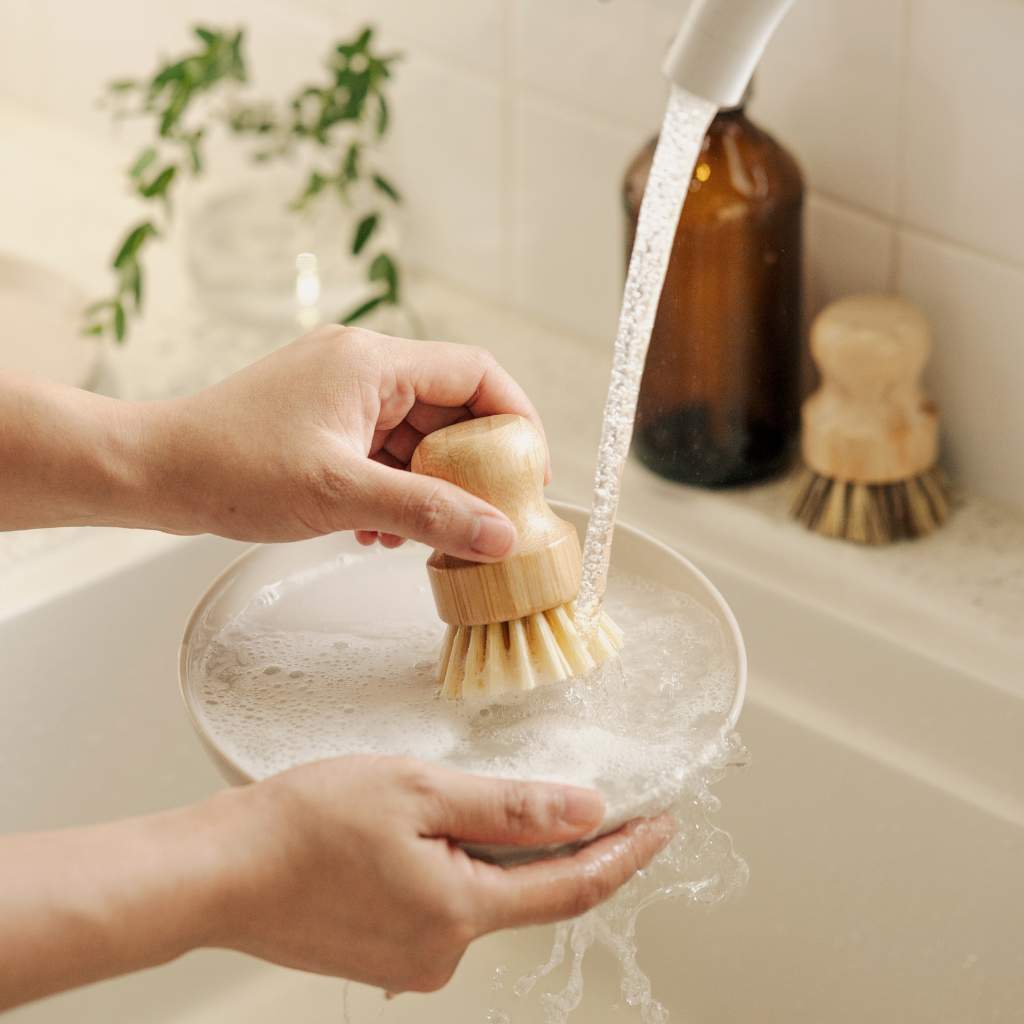 Bamboo Dish Brushes | Set of 2