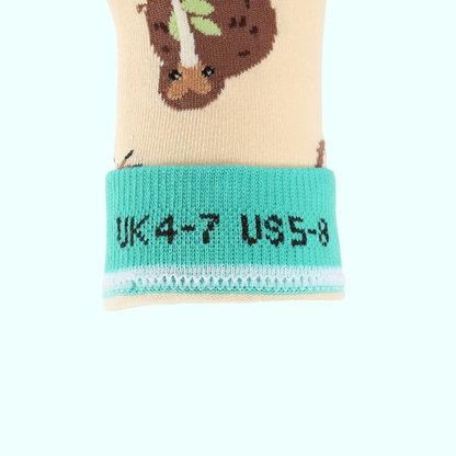 Kiwi Bamboo Socks | White New Zealand Bird Socks