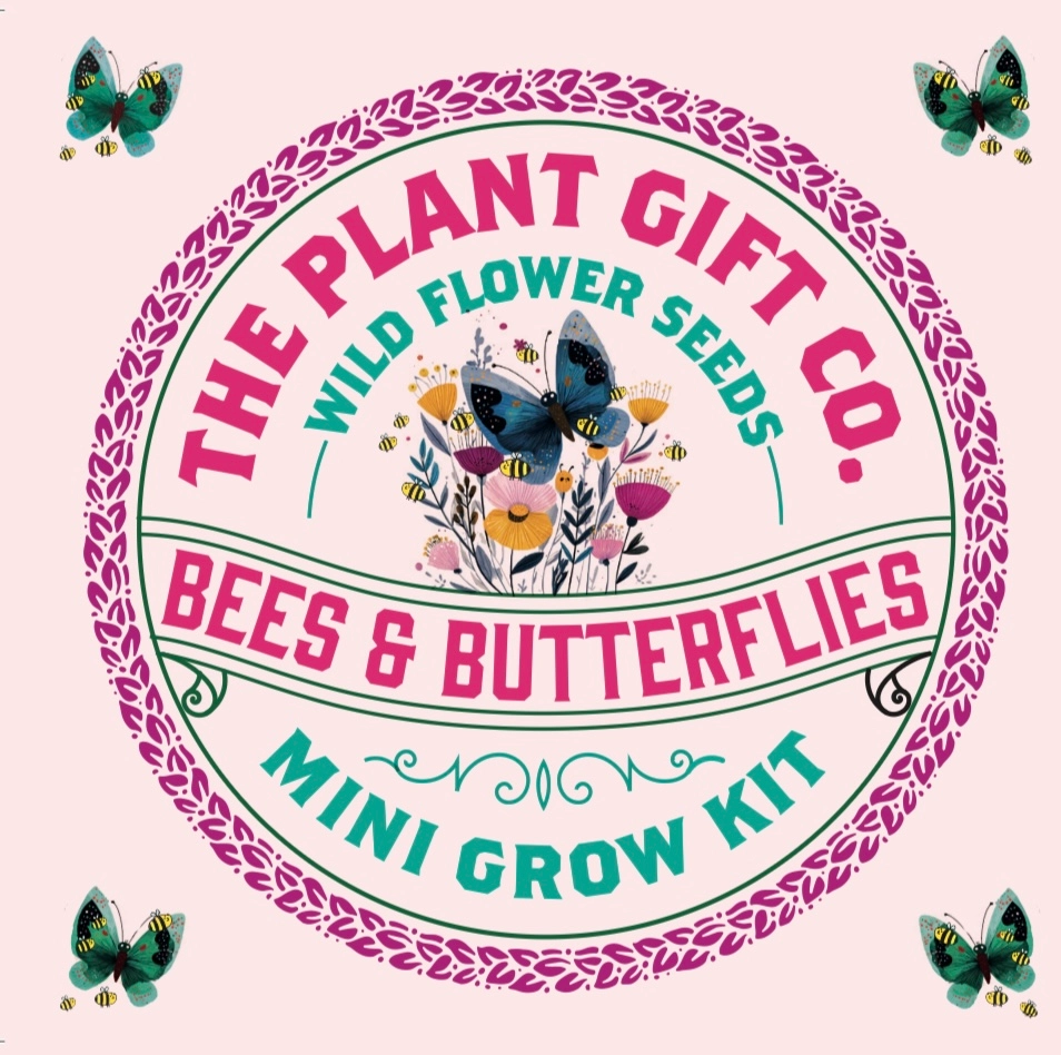 Wild flower mini grow kit by The Plant Gift Co., seeds coir discs and plant markers
